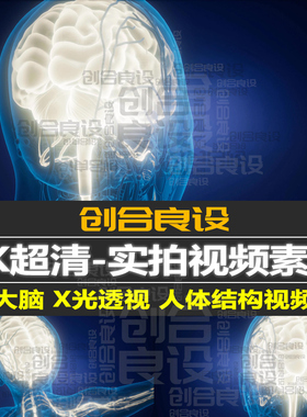 4K3D三维科技医疗医学蓝色X光人体大脑透视特写镜头视频剪辑素材