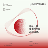 FISHER天际线极浅烘 哥伦比亚甲壳虫庄园爪哇日晒手冲咖啡豆100g