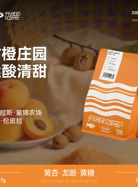 FISHER啡舍洪都拉斯蒙娜农场伦皮拉日晒手冲咖啡豆 柔酸清甜 227g