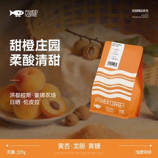 FISHER啡舍洪都拉斯蒙娜农场伦皮拉日晒手冲咖啡豆 227g 柔酸清甜