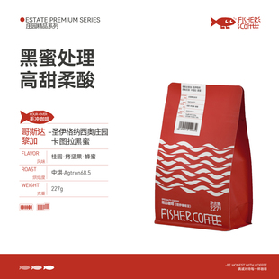 FISHER啡舍 227g 哥斯达黎加卡图拉黑色蜜处理手冲咖啡豆中度烘焙