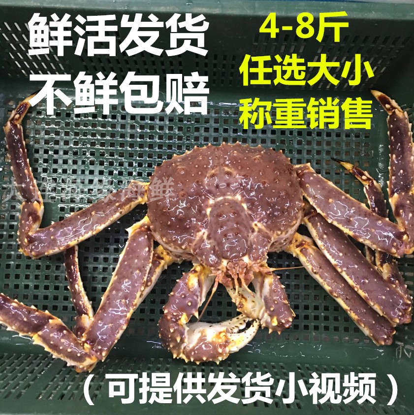 鲜活发阿拉斯加帝王蟹红蓝蟹称重帝王蟹长脚蟹帝皇蟹海鲜年货礼盒