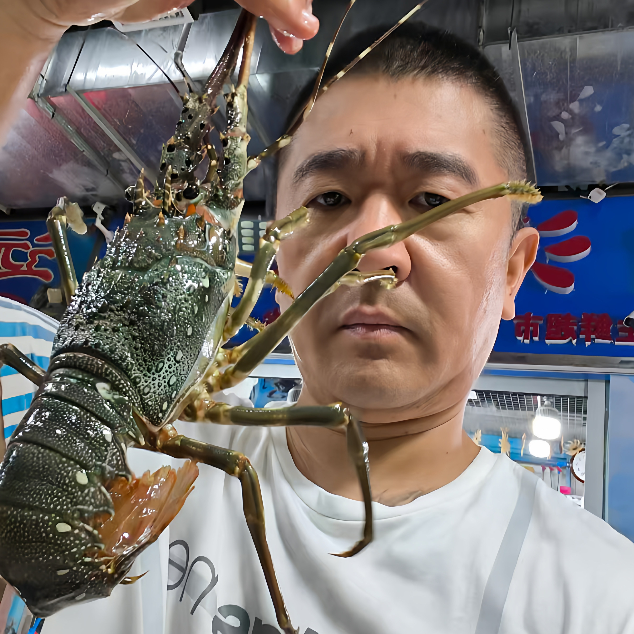 大连鲜活小龙虾仔5-8两/只青龙虾仔古巴青龙虾仔刺身烧烤酒席龙虾