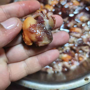 当天手工现剥新鲜小赤贝肉小毛蚶肉活贝现扣蛤蜊肉500g火锅味道鲜