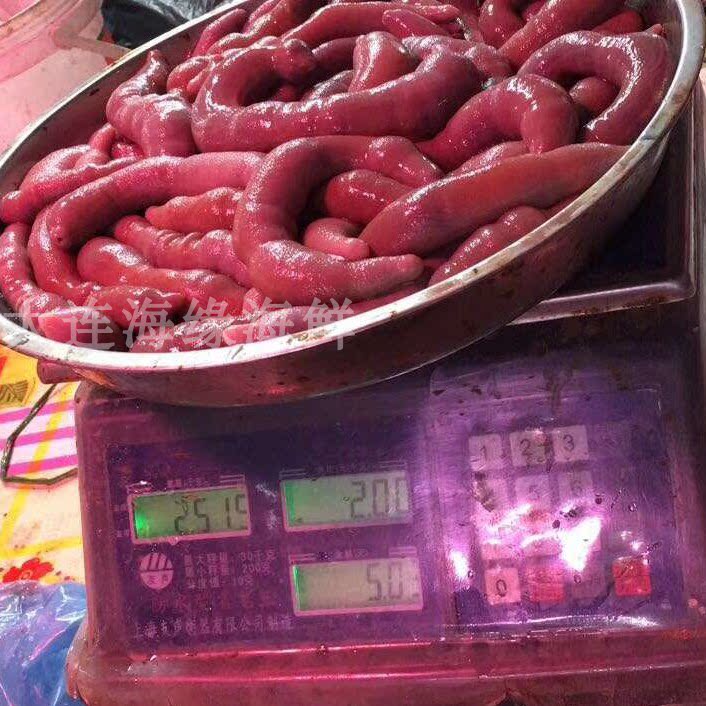 大连海鲜活海肠子小65大85杀好发货 韭菜海肠饺子火锅豆捞海鸡子