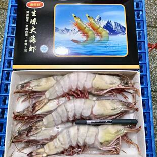 鲜活船冻虎虾生冻海捕大海虾6只净重约1.5斤年货送礼海鲜礼盒
