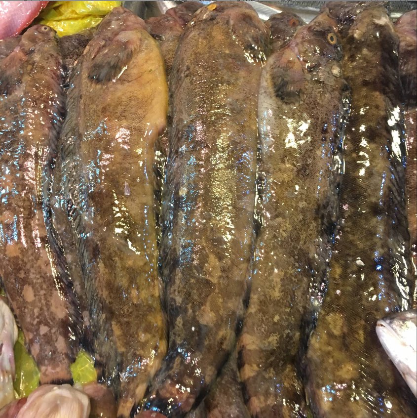 新鲜小姐鱼55/斤 鲜活的80/斤 酒店饭店用新鲜海鱼海鲶鱼杂拌瓣鱼