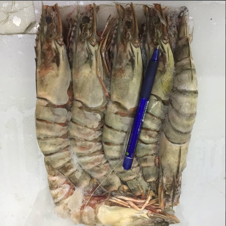 大连渤海海捕特大号对虾 新鲜速冻大海虾 虎皮虾 1kg 6只装