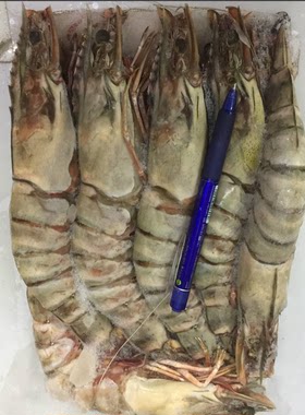 大连渤海海捕特大号对虾 新鲜速冻大海虾 虎皮虾 1kg 6只装