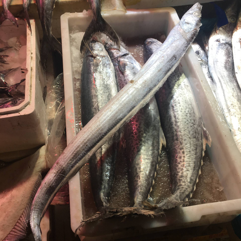 新鲜速冻渤海黑眼大带鱼1.7-1.8斤38/斤 宽带鱼 野生带鱼 大刀鱼