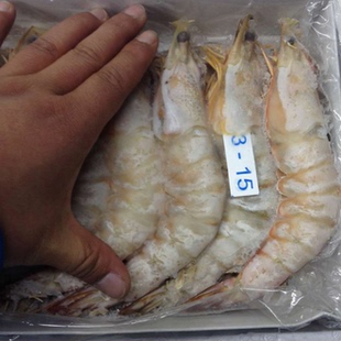 海捕新鲜明虾1kg13-15只冷冻大海虾对虾白虾大连海鲜水产送礼大虾