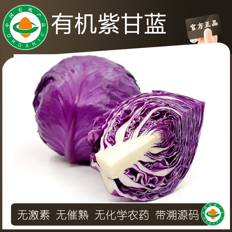 有机认证新鲜紫甘蓝紫包菜