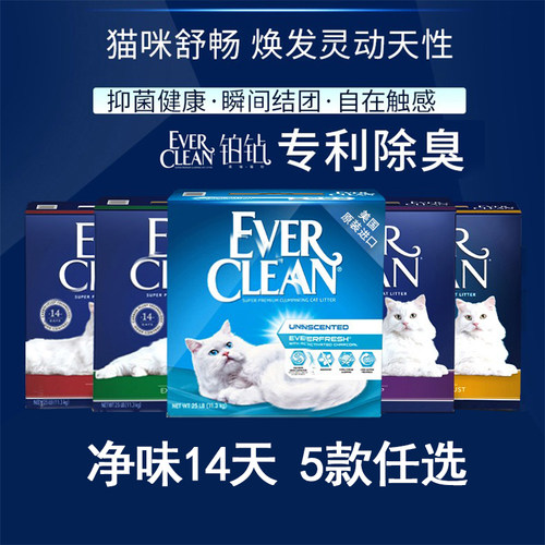 渐霏美国铂钻膨润土猫砂