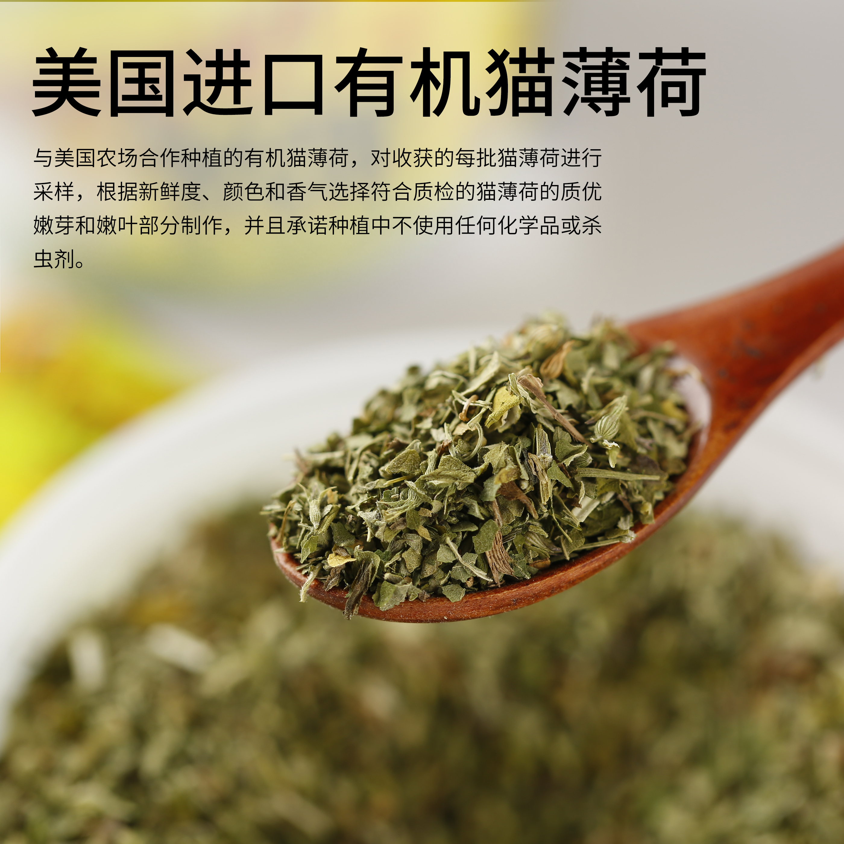 疯狂猫薄荷美国进口有机YEOWWW强效猫薄荷猫咪减压化毛促消化零食