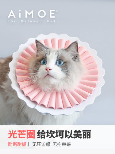伊丽莎白圈猫咪绝育轻便防舔防水
