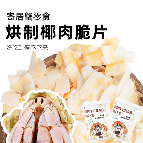 寄居蟹罐装零食～专用食物爬宠虾蟹食物冻干椰片实惠椰片冻干