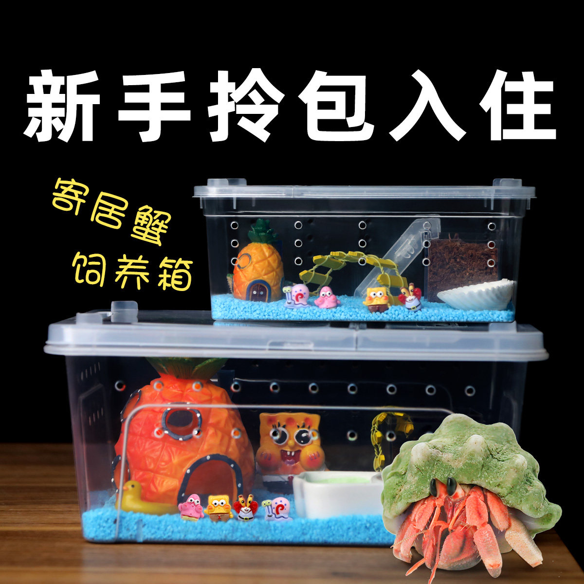 寄居蟹新手套餐饲养箱盒～饲养用品 相守蟹套装桌面宠物儿童礼物,宠物/宠物食品及用品,生态瓶/创意缸/微景缸,淘宝优惠券,粉丝福利购,淘宝优惠卷