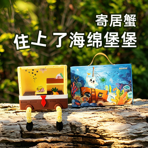 寄居蟹新手饲养套餐～