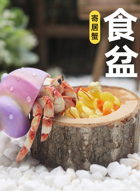 超多款寄居蟹食盆～寄居蟹食盆水盆木桩陶瓷树脂小脚丫大号小号