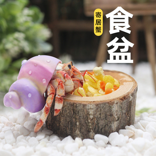 超多款寄居蟹食盆～寄居蟹食盆水盆木桩陶瓷树脂小脚丫大号小号