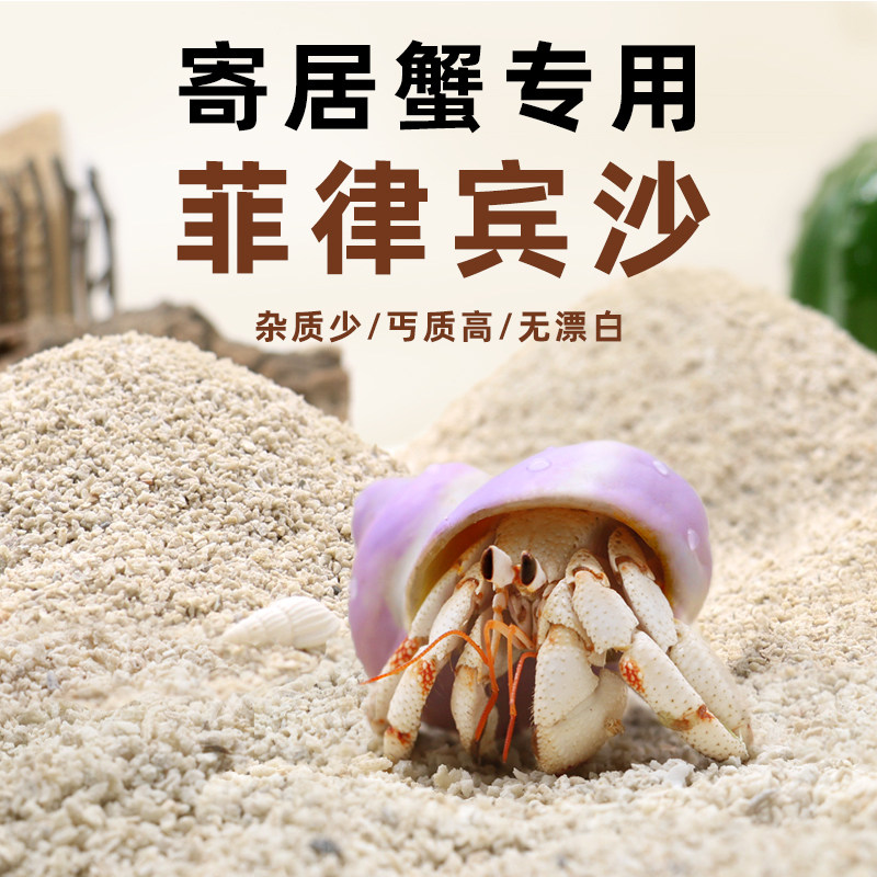 陌派寄居蟹专用沙～天然垫材白沙珊瑚沙菲律宾沙子原生贝壳沙免洗