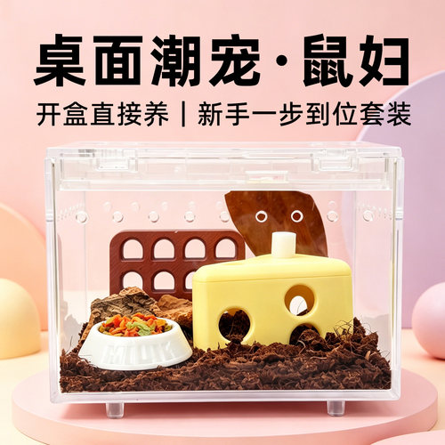 鼠妇西瓜虫 宠物饲养盒 懒人桌面学生科普饲养套餐等小众