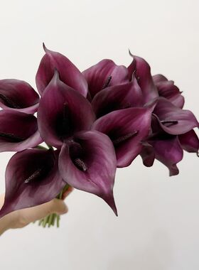 仿真花紫黑色马蹄莲单枝软小马蹄莲假花家居婚庆软装装饰花卉