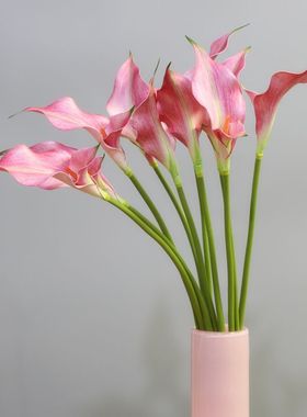 双瓣海芋·梦鹿仿真花 紫色白色手感材质马蹄莲海芋客厅桌面插花