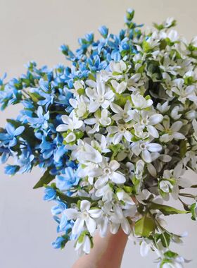 仿真胶枝蓝星花婚庆礼堂装饰家居客厅摆件装饰高端花束摄影道具