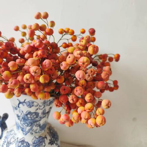 仿真品质秋色海棠果 趣味果子花材 花艺陈列设计 秋色复古 摄影