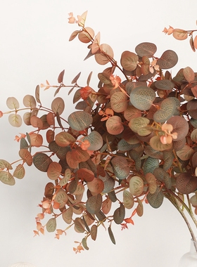 复古色系 仿真日本秋色尤加利叶 拍摄道具圆叶优加力棕红色