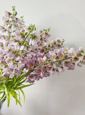 新款花格贝母仿真花桌面餐桌花束装饰假花花艺高级感家居插花摆件