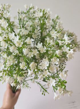 小清新自然系仿真花白色澳洲腊梅花家居摆放摄影道具婚庆装饰假花