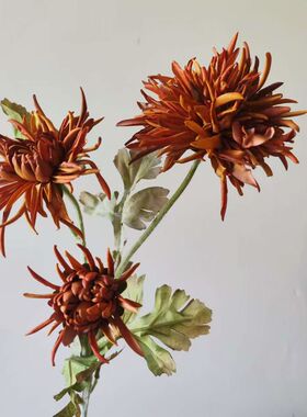 仿真花 金盏菊 秋色植绒蟹爪菊家居软装饰婚庆布景龙爪菊摆件假花