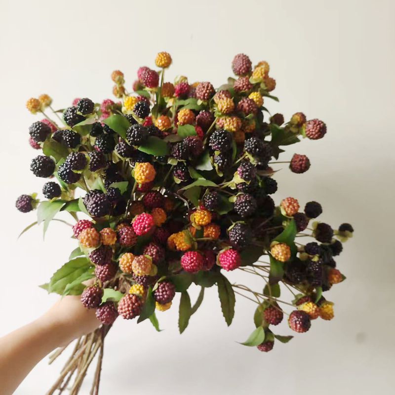 仿真植物树莓保湿红色浆果桑葚果子假花家居装饰摄影道具婚庆布置