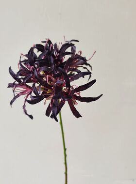 仿真花百子莲非洲百合婚庆拍摄 家居婚庆样板房装饰配材摄影道具