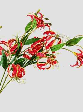 高质仿真花嘉兰火焰｜美陈艺术