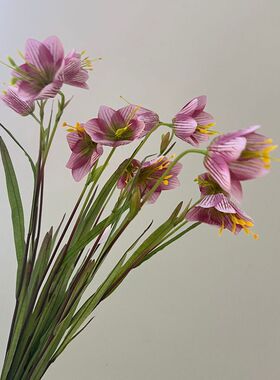 ins浙母贝花仿真北欧简约假花百合花客厅室内桌面绢花装饰贝母花