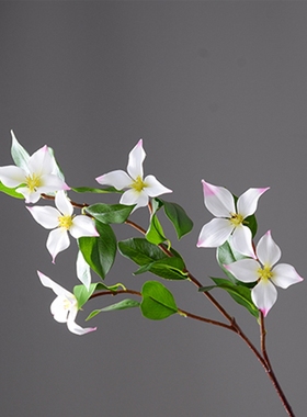 仿真枸木花 四照花春色白色红色系花材 中式家居饰品拍摄道具花艺