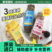 英国进口BURGESS宠物兔花草棒磨牙可食用专用神器龙猫豚鼠小零食