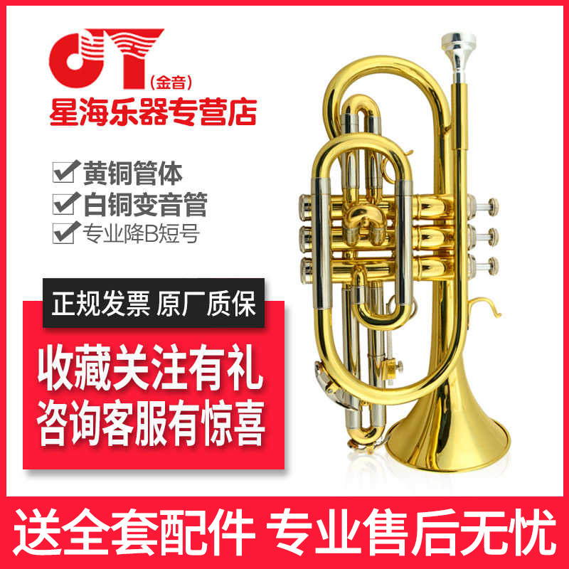 金音短号乐器小号漆金
