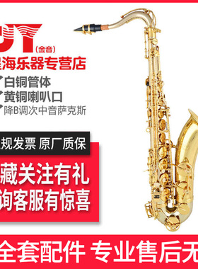 微瑕处理 金音白铜次中音萨克斯JYTS-A610F亮光 EVA降B调萨克斯