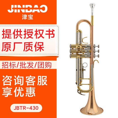 津宝专业小号乐器初学者演奏