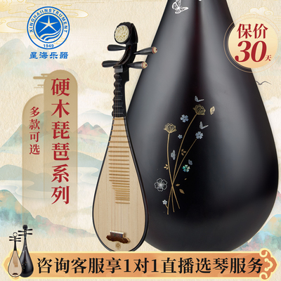 星海琵琶精选硬木全系列儿童成人
