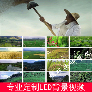 父老乡亲配乐农村农田山水舞蹈演出LED大屏幕高清背景视频