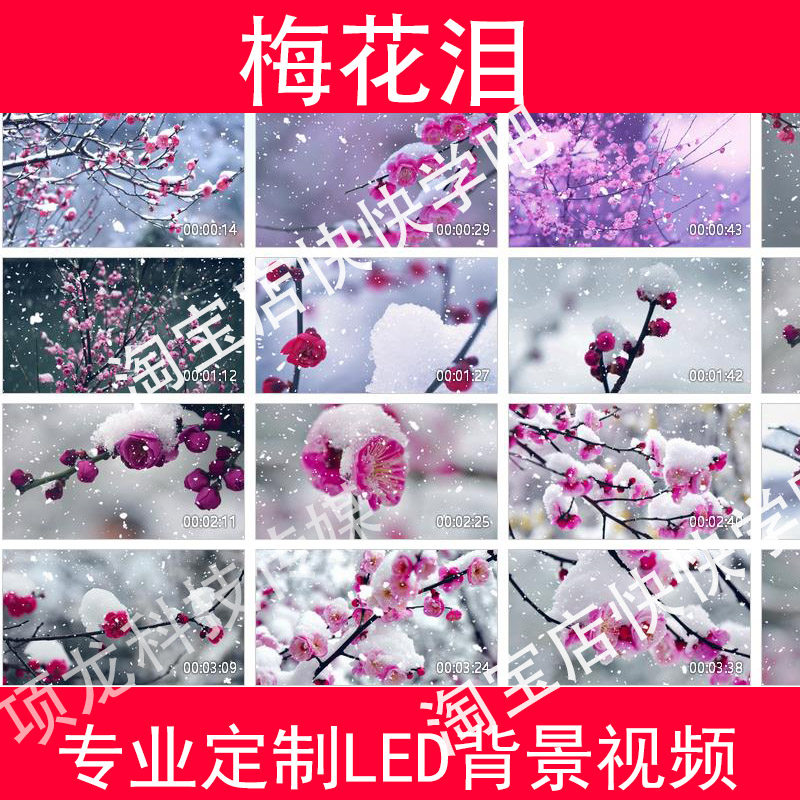 梅花泪03012唯美梅花led大屏幕高清背景视频素材