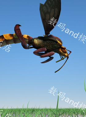 巨蜂3d模型动画素材obj,fbx,maya黄蜂 3dsmax虚幻ue4blenderc4d蜂