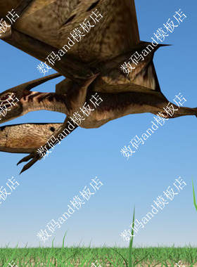 翼龙模型动画翼龙3d模型objfbxmaya翼龙3dsmaxue4 blende c4d翼龙