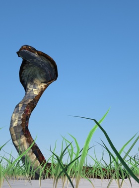 蛇3d模型动画素材obj,fbx,maya蛇 3dsmax蛇虚幻ue4blenderc4d王蛇