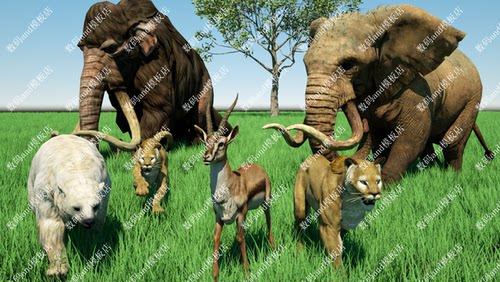 龙象马狮豹羊35种动物骨骼绑定objmaya3dsmaxc4d虚幻4ue4动物模型